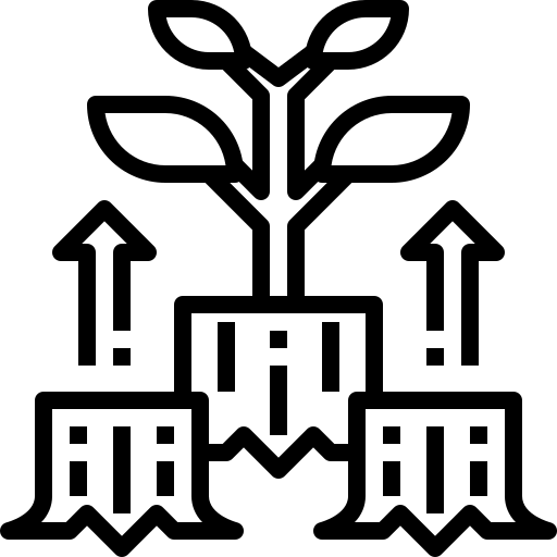 Décarbonation noir